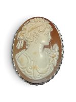 Spilla Mandile 1922 Donna Cammei  in Argento Conchiglia 2MSPCM50.1.26